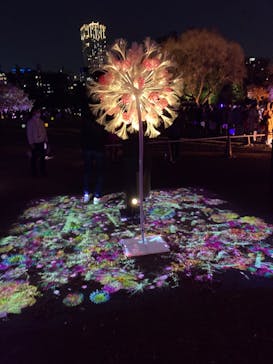 NAKED 桜の新宿御苑 2023に投稿された画像（2023/4/11）