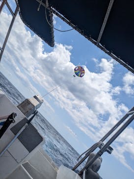 Sea World（シーワールド）に投稿された画像（2023/4/11）