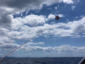 Sea World（シーワールド）に投稿された画像（2023/4/11）