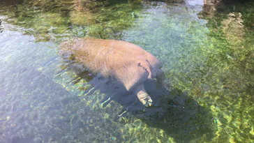 天王寺動物園に投稿された画像（2023/4/11）