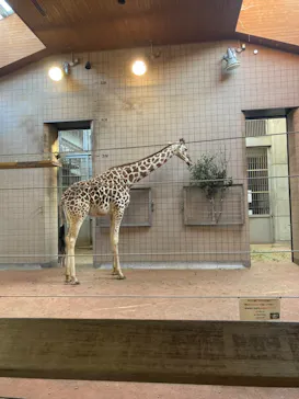 天王寺動物園に投稿された画像（2023/4/11）