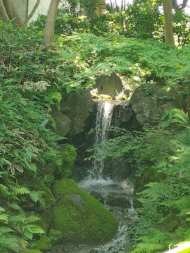 三溪園に投稿された画像（2023/4/11）