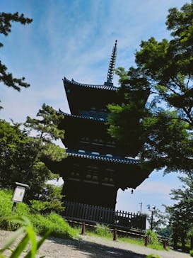 三溪園に投稿された画像（2023/4/11）