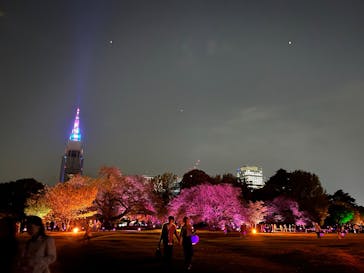 NAKED 桜の新宿御苑 2023に投稿された画像（2023/4/11）