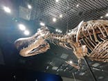 特別展「恐竜博2023」に投稿された画像（2023/4/12）