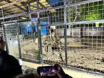 しろとり動物園に投稿された画像（2023/4/11）