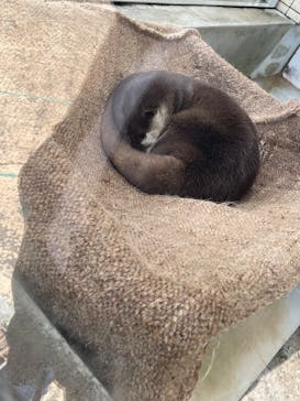 下田海中水族館に投稿された画像（2023/4/12）