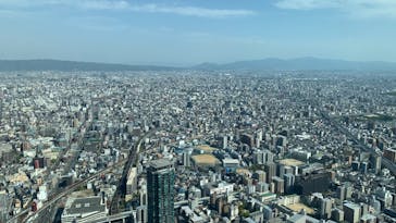 ハルカス300(展望台)に投稿された画像（2023/4/12）