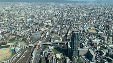 ハルカス300(展望台)に投稿された画像（2023/4/12）