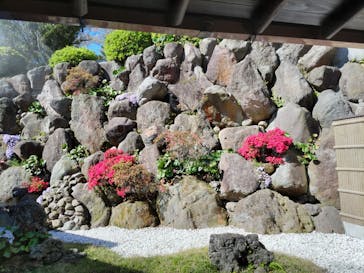 べっぷ地獄めぐりに投稿された画像（2023/4/12）