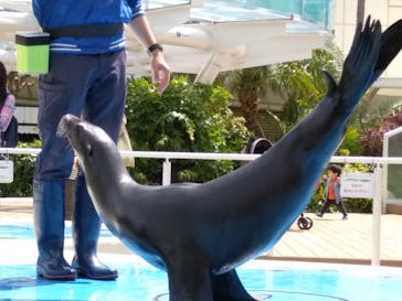 サンシャイン水族館に投稿された画像（2023/4/12）