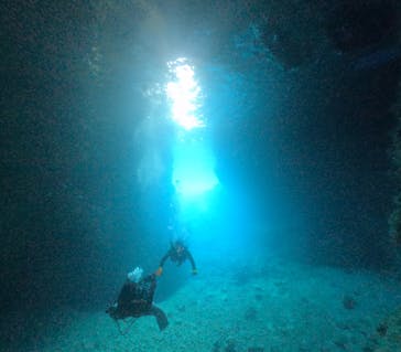 DIVING-SHOP SUNSに投稿された画像（2023/4/12）