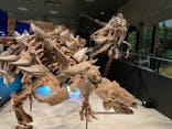 特別展「恐竜博2023」に投稿された画像（2023/4/12）