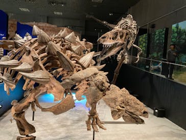 特別展「恐竜博2023」に投稿された画像（2023/4/12）