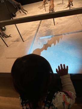 特別展「恐竜博2023」に投稿された画像（2023/4/12）