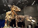特別展「恐竜博2023」に投稿された画像（2023/4/12）
