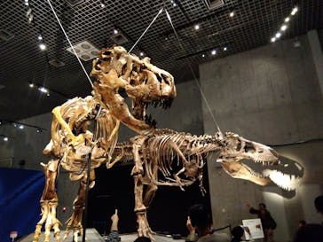 特別展「恐竜博2023」に投稿された画像（2023/4/12）