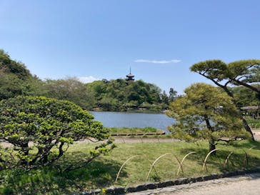 三溪園に投稿された画像（2023/4/12）