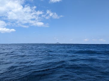 Sea World（シーワールド）に投稿された画像（2023/4/11）