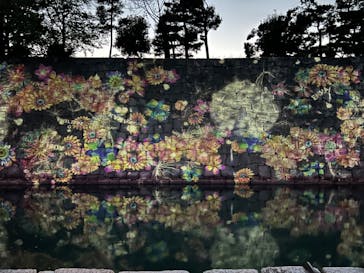 『NAKED FLOWERS 2023 桜 世界遺産・二条城』に投稿された画像（2023/4/12）