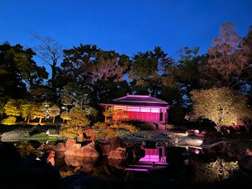 『NAKED FLOWERS 2023 桜 世界遺産・二条城』に投稿された画像（2023/4/12）