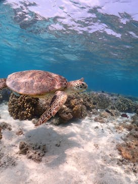 ちゃこたびに投稿された画像（2023/4/12）