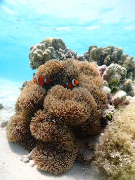 ちゃこたびに投稿された画像（2023/4/12）