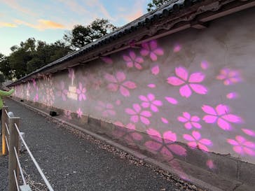 元離宮二条城に投稿された画像（2023/4/12）