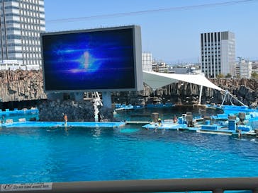 名古屋港水族館に投稿された画像（2023/4/12）