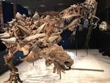 特別展「恐竜博2023」に投稿された画像（2023/4/12）