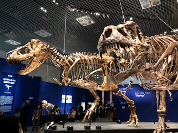 特別展「恐竜博2023」に投稿された画像（2023/4/12）