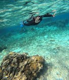 宮古島 ADVENTURE PiPi（ミヤコジマ アドベンチャー ピピ）に投稿された画像（2023/4/12）