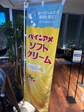 ハルカス300(展望台)に投稿された画像（2023/4/12）