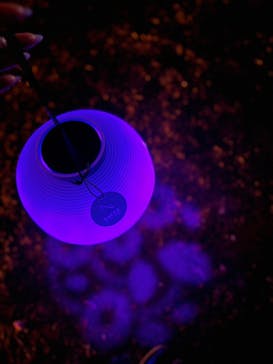 NAKED 桜の新宿御苑 2023に投稿された画像（2023/4/12）