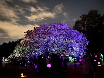 NAKED 桜の新宿御苑 2023に投稿された画像（2023/4/12）