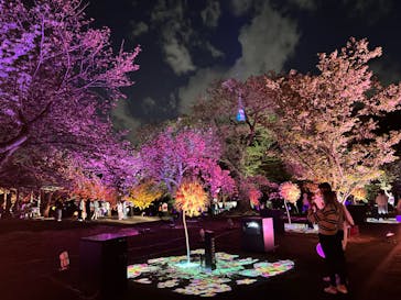 NAKED 桜の新宿御苑 2023に投稿された画像（2023/4/12）