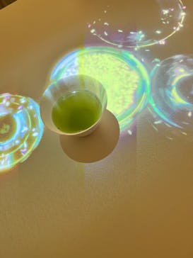 『NAKED FLOWERS 2023 桜 世界遺産・二条城』に投稿された画像（2023/4/12）