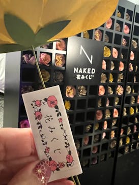 『NAKED FLOWERS 2023 桜 世界遺産・二条城』に投稿された画像（2023/4/12）