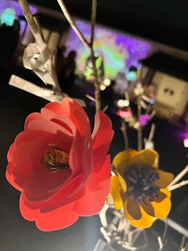 『NAKED FLOWERS 2023 桜 世界遺産・二条城』に投稿された画像（2023/4/12）