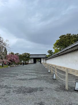 元離宮二条城に投稿された画像（2023/4/12）