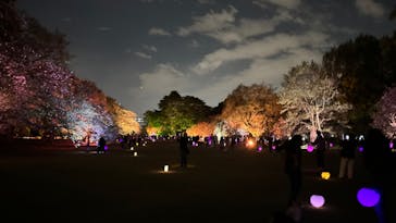 NAKED 桜の新宿御苑 2023に投稿された画像（2023/4/12）