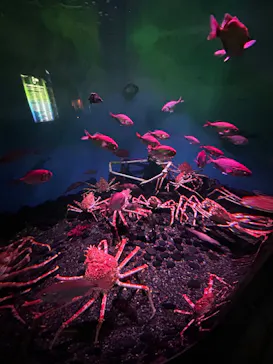 横浜・八景島シーパラダイスに投稿された画像（2023/4/12）