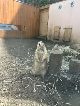 横浜・八景島シーパラダイスに投稿された画像（2023/4/12）