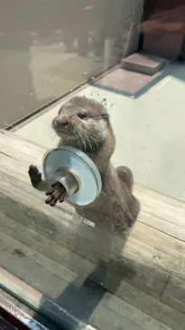 横浜・八景島シーパラダイスに投稿された画像（2023/4/12）