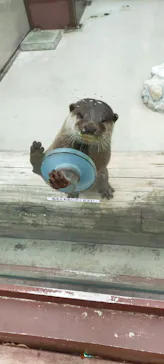 横浜・八景島シーパラダイスに投稿された画像（2023/4/12）