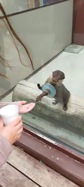 横浜・八景島シーパラダイスに投稿された画像（2023/4/12）