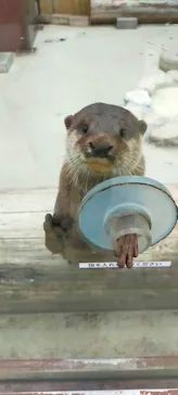 横浜・八景島シーパラダイスに投稿された画像（2023/4/12）