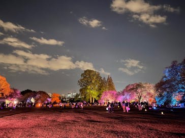 NAKED 桜の新宿御苑 2023に投稿された画像（2023/4/12）