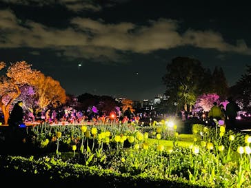 NAKED 桜の新宿御苑 2023に投稿された画像（2023/4/12）