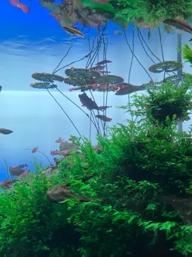 すみだ水族館に投稿された画像（2023/4/12）